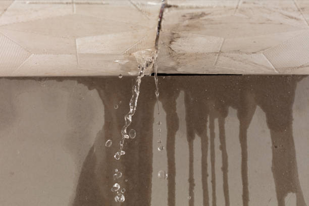 Professional Water Extraction technician working in Steen, MN